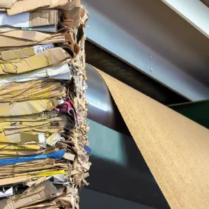 Curso de reducción del desperdicio de la onduladora