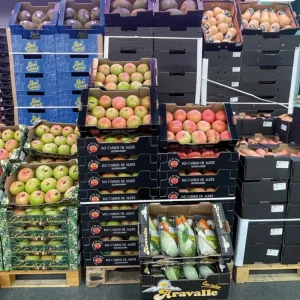 Curso especializado de fabricación de cajas para agricultura